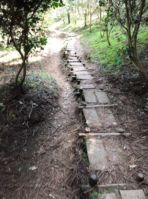 幣立神社 九州 パワースポット